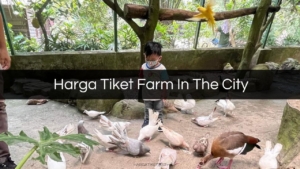 Harga Tiket Farm In The City