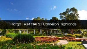 Harga Tiket Mardi Cameron Highland