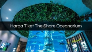 Harga Tiket The Shore Oceanarium