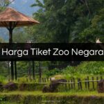 Harga Tiket Zoo Negara