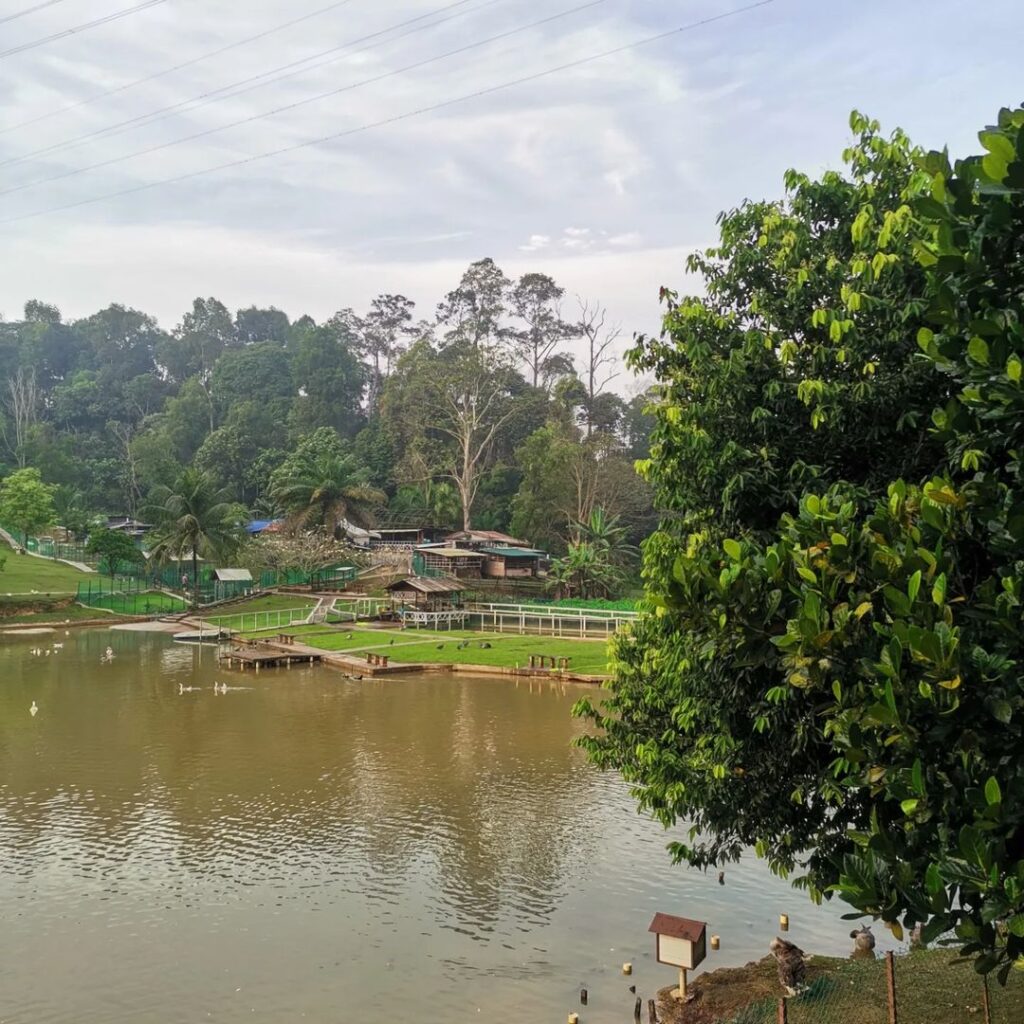 Harga Tiket Bukit Jelutong Eco Community Park