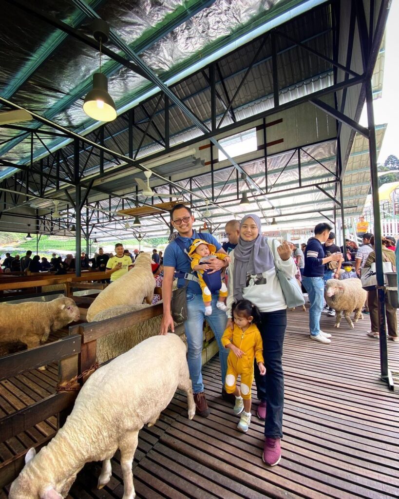 Kemudahan di The Sheep Sanctuary Malaysia