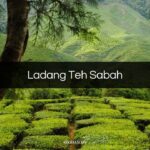 Ladang Teh Sabah