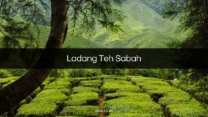 Ladang Teh Sabah