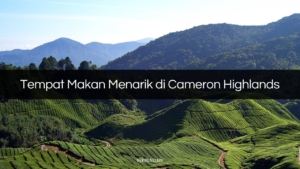 tempat makan menarik di cameron highlands