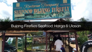 Bujang Fireflies