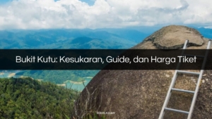Bukit kutu