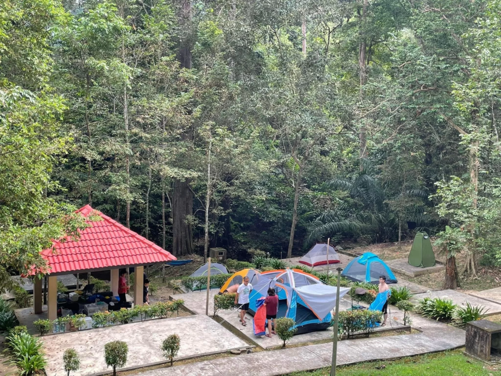 kemudahan rimba templer park