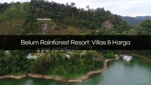 belum rainforest resort
