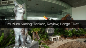 muzium kucing