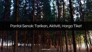 pantai senok