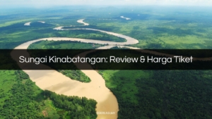 sungai kinabatangan