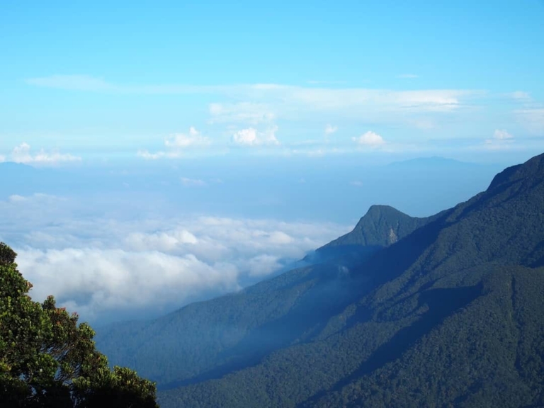  GUNUNG YONG BELAR Trek Permit Harga Tiket 2026