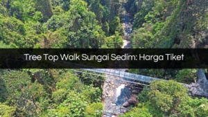 tree top walk sungai sedim