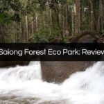 kledang saiong forest eco park