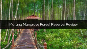 matang mangrove forest reserve