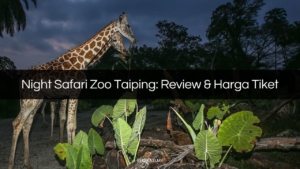 night safari zoo taiping