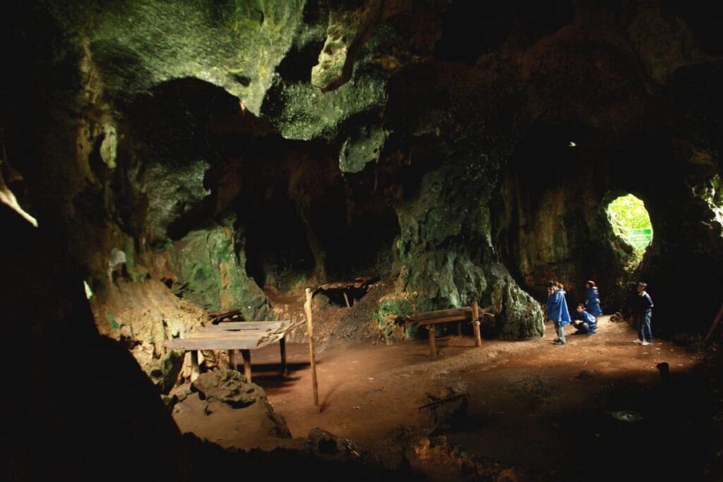 waktu operasi gomantong cave