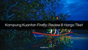 kampung kuantan firefly