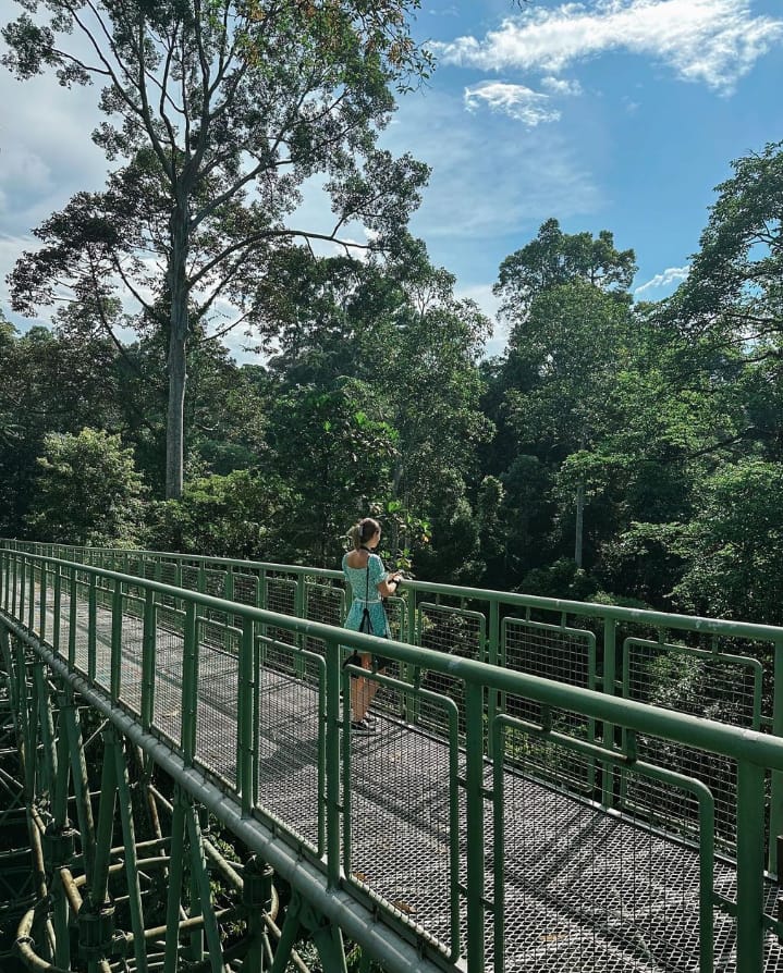 kemudahan rainforest discovery sabah