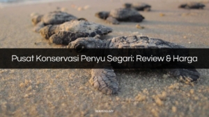 pusat konservasi punya segari