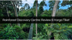 rainforest discovery centre