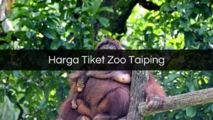 Harga Tiket Zoo Taiping