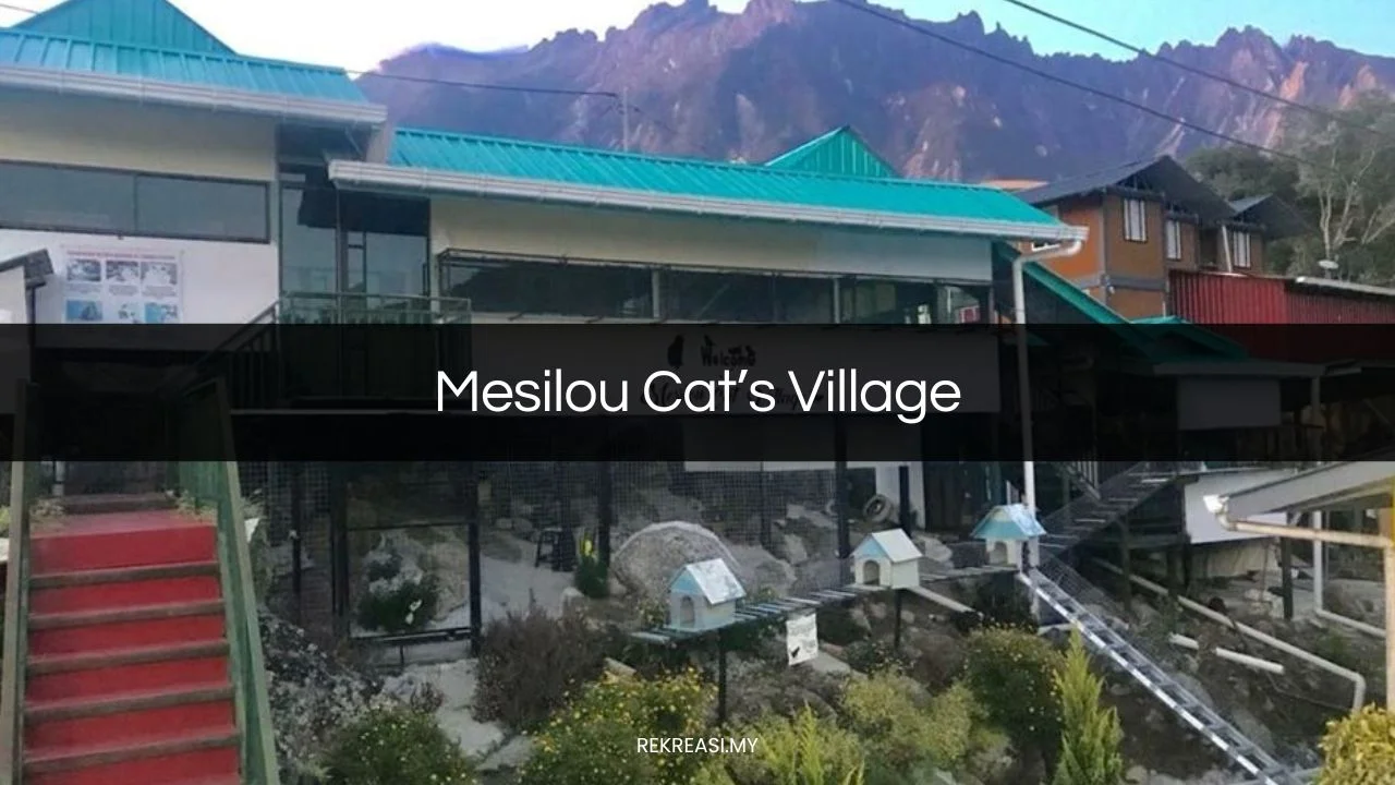 Mesilou Cat’s Village