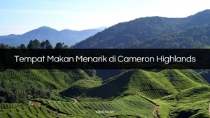 tempat makan menarik di cameron highlands