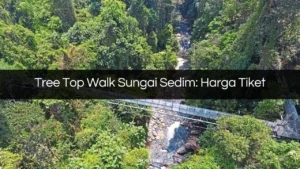 tree top walk sungai sedim