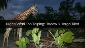 night safari zoo taiping