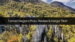 taman negara mulu